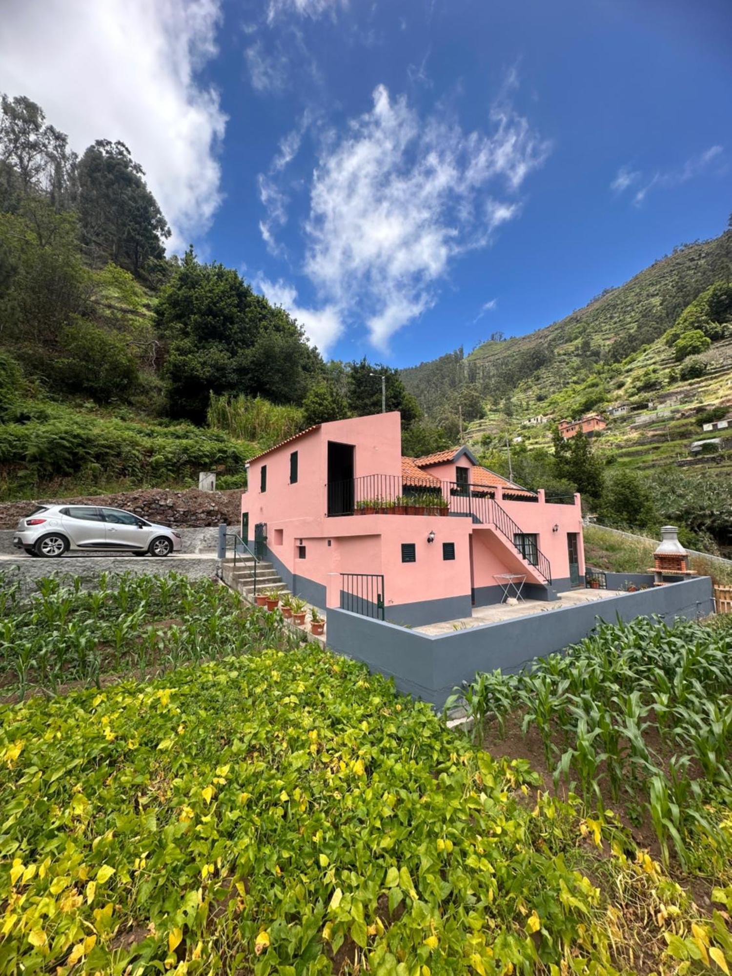 Casa Rosa Villa Ribeira Brava Exterior foto