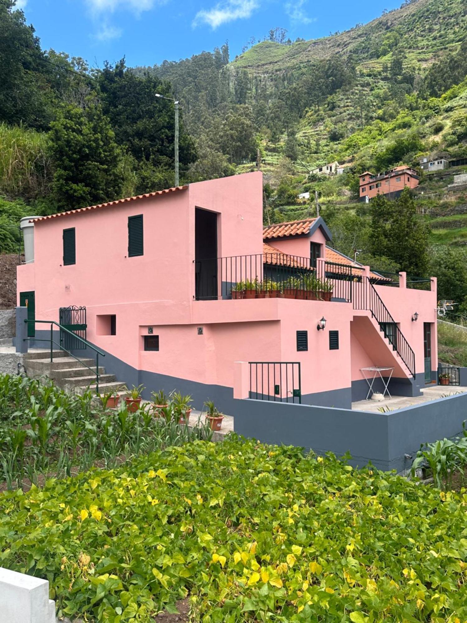 Casa Rosa Villa Ribeira Brava Exterior foto
