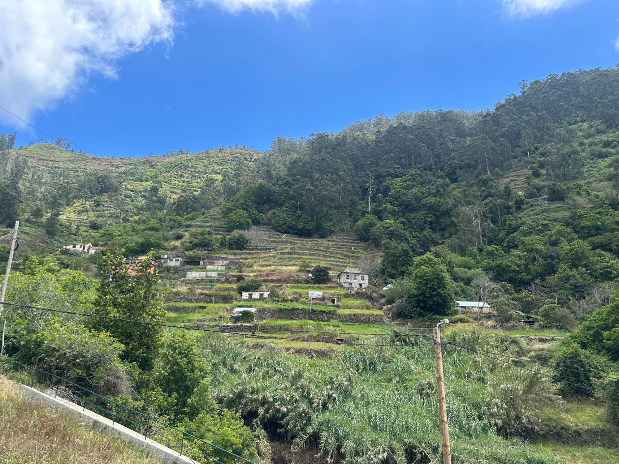Casa Rosa Villa Ribeira Brava Exterior foto